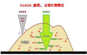 防腐劑